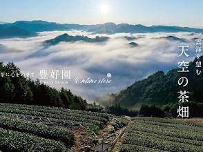 Teefelder über Nebelbergen