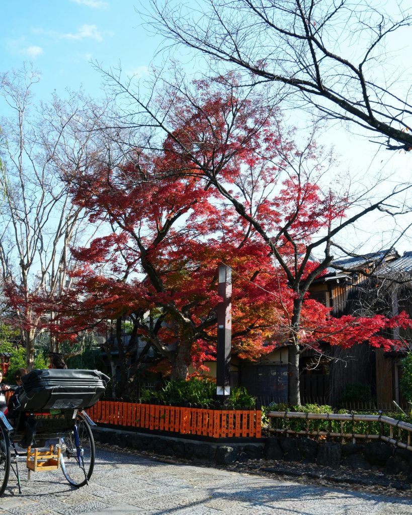 Herbstliche Szene in Kyoto mit traditionellen Gebäuden und leuchtend roten Ahornbäumen.